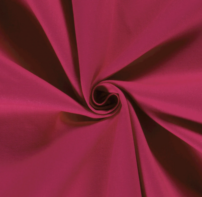 Canvas fuchsia 17
