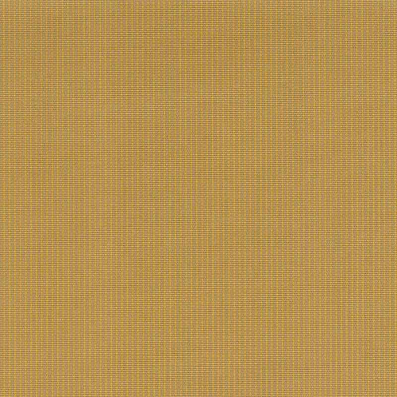 Markisväv Sattler 395 yellow mustard