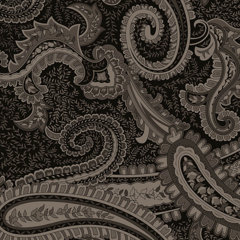 Paisley silver