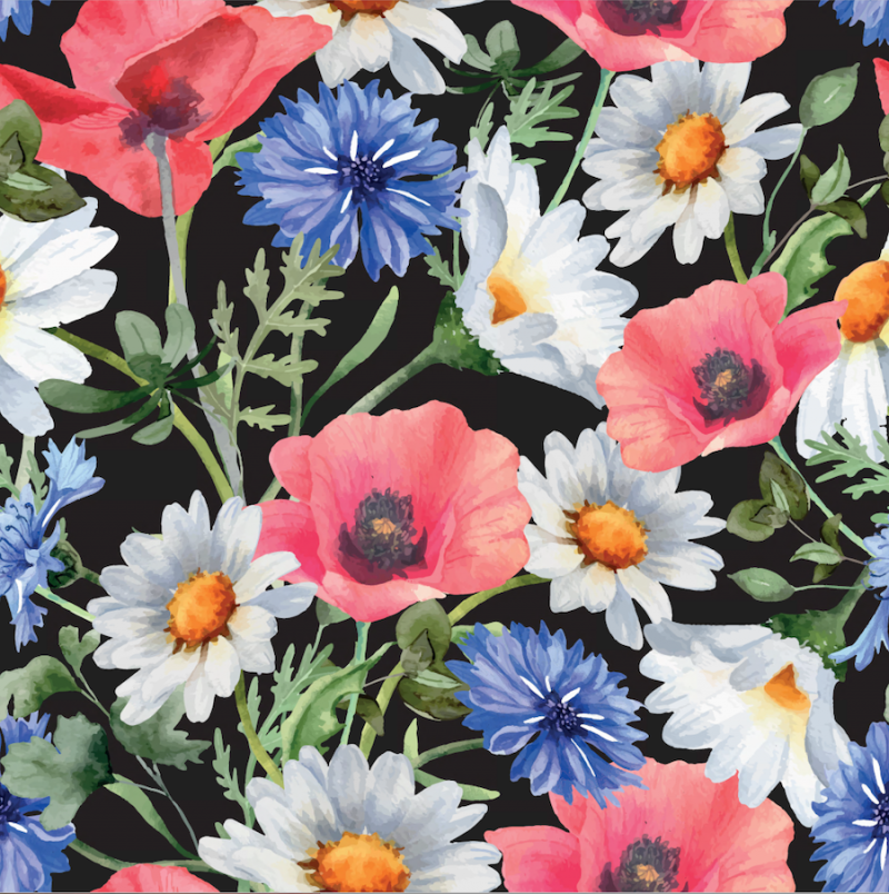 Blåklint vallmo svart