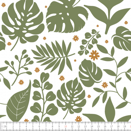 Monsteraiamagi vit grön