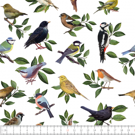 Fågelsång på kvist vit