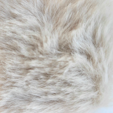 Päls Björn beige