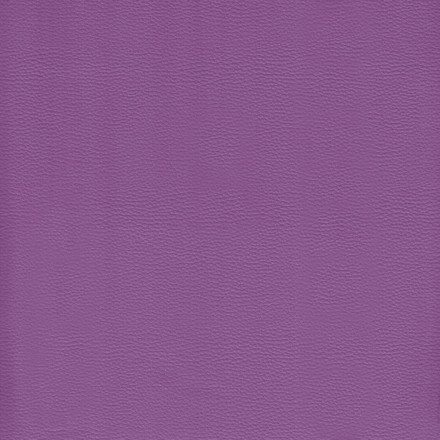 Galon 21 violett