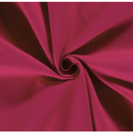 Canvas fuchsia 17