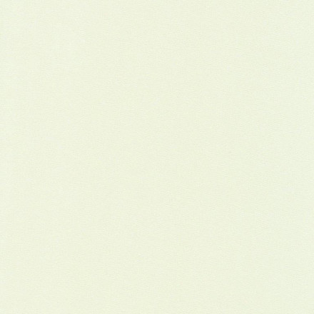 Badlycra 04 offwhite