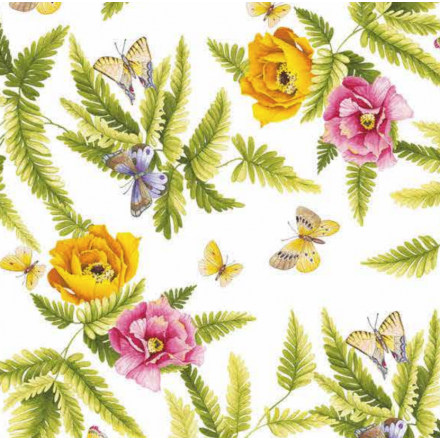 Vaxduk Elegance 603.1