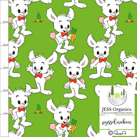 Lille Skutt med morot