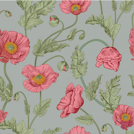 Poppy blomma ljusgrå