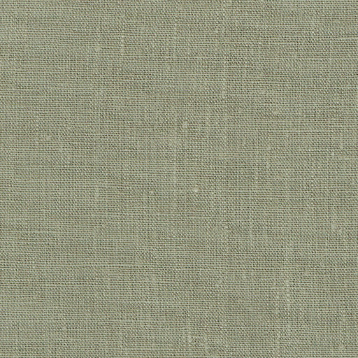 Samir 1893 beige