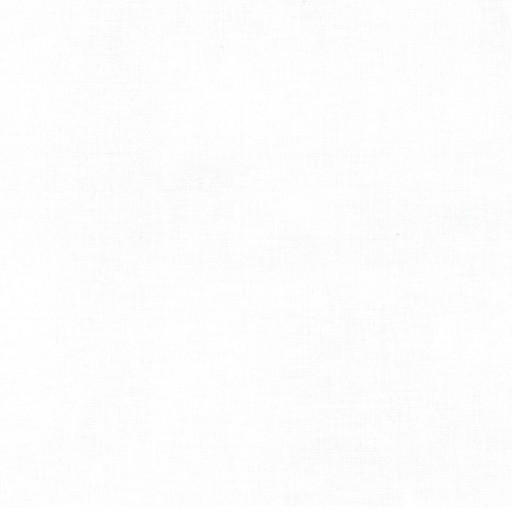 Voile 131/0 (298) offwhite