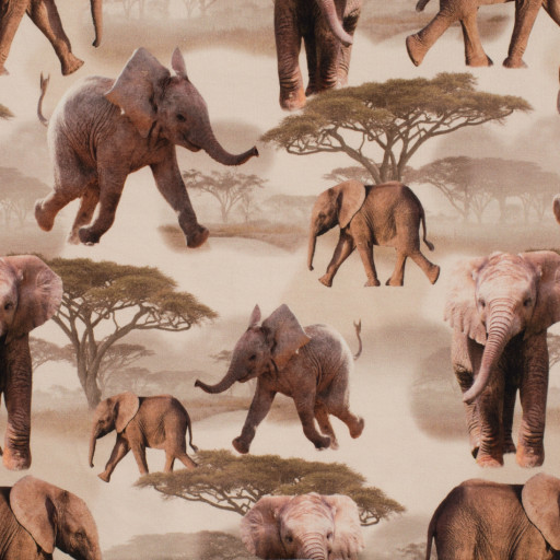 Elefant på språng