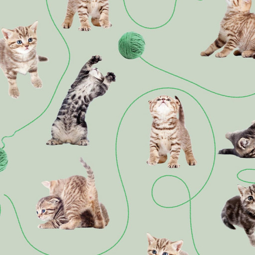 Gatitos