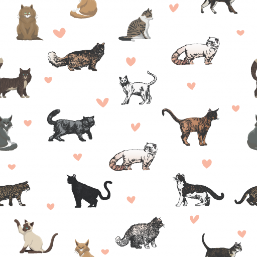 Love cats med hjärtan 