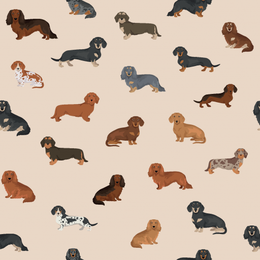 Love dachshund beige