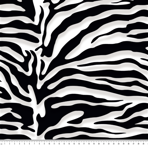 Zebra svart vit 2.0