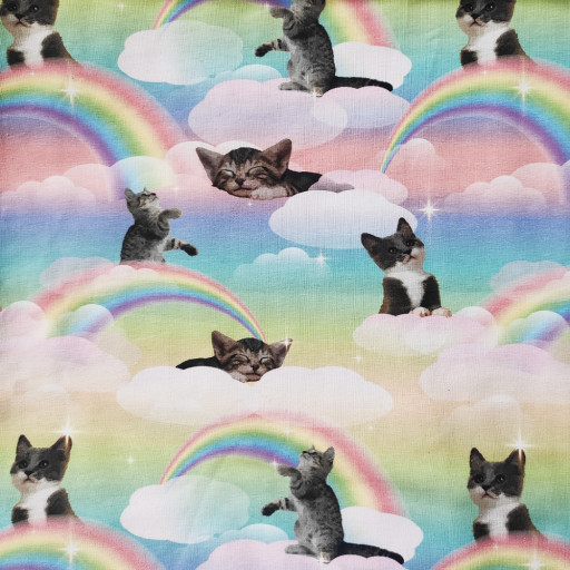 Kittens rainbow clouds