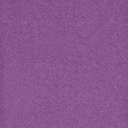 Galon 21 violett